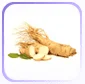 Panax notoginseng